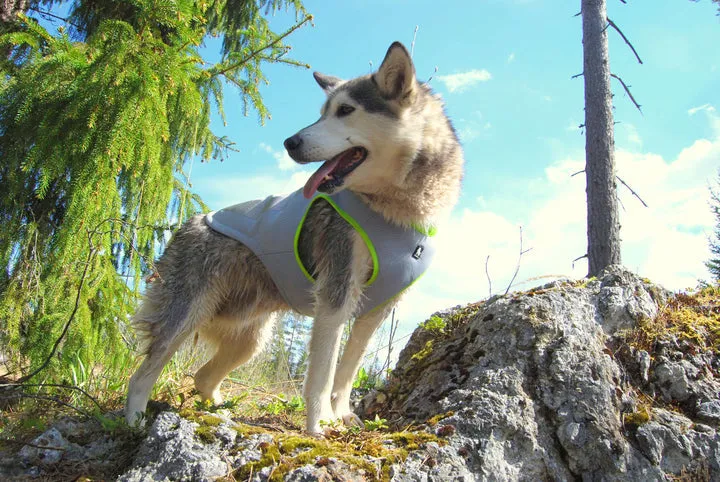 Neon Yellow Cooling Vest 2XL, Adjustable & Comfortable